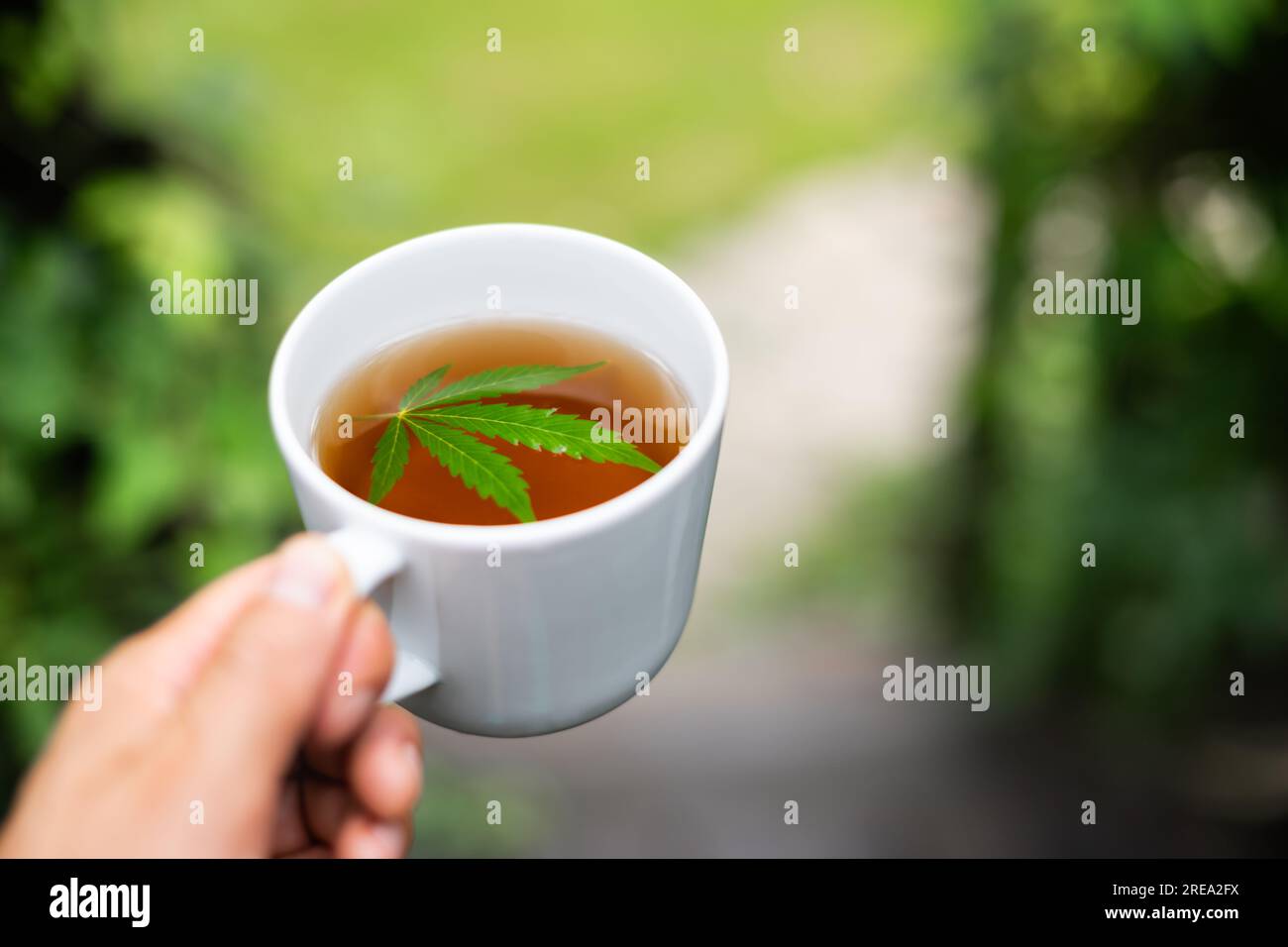 Tasse à thé avec des feuilles de cannabis sur la main de l'homme. Tisane médicale avec de la marijuana en gros plan Banque D'Images