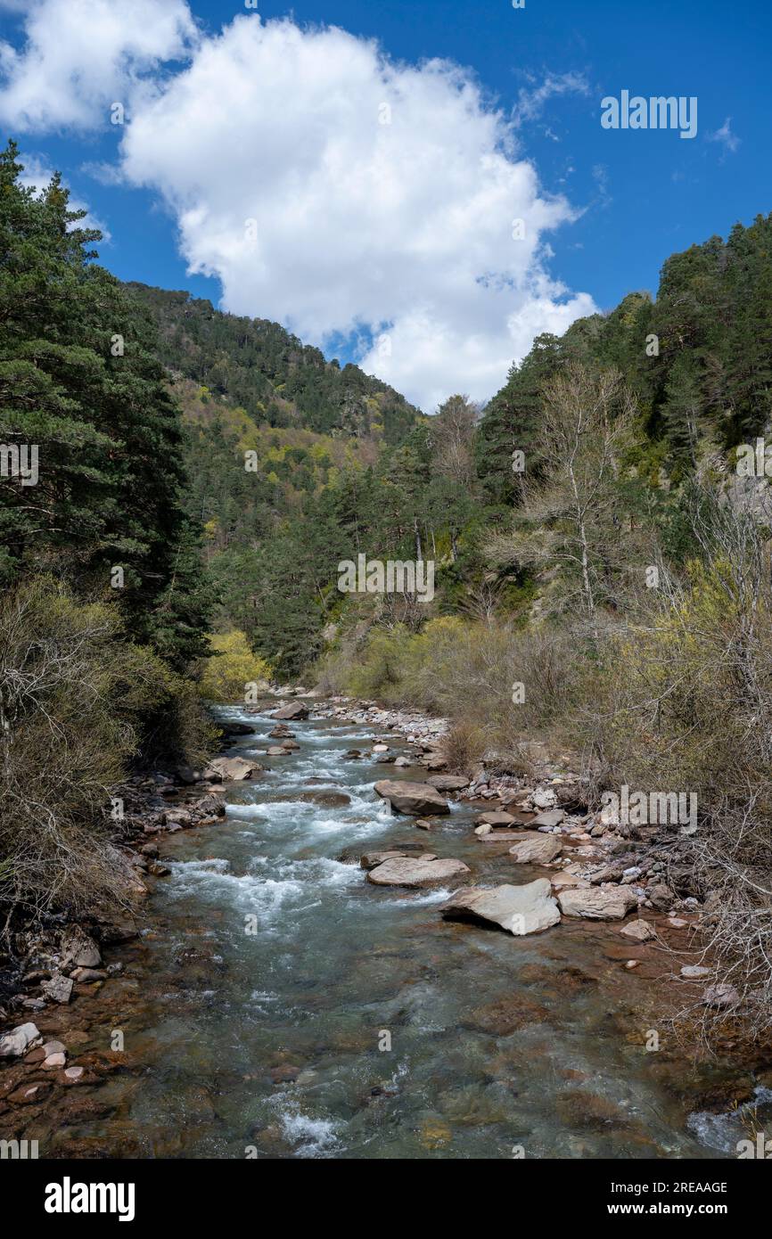 Vallée de Hecho dans les Pyrénées espagnoles, Huesca, Aragon, Espagne Banque D'Images