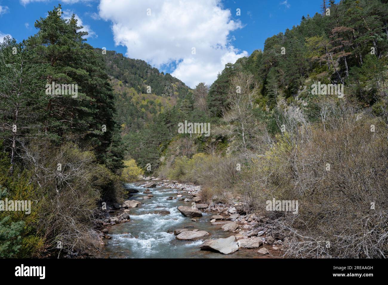 Vallée de Hecho dans les Pyrénées espagnoles, Huesca, Aragon, Espagne Banque D'Images