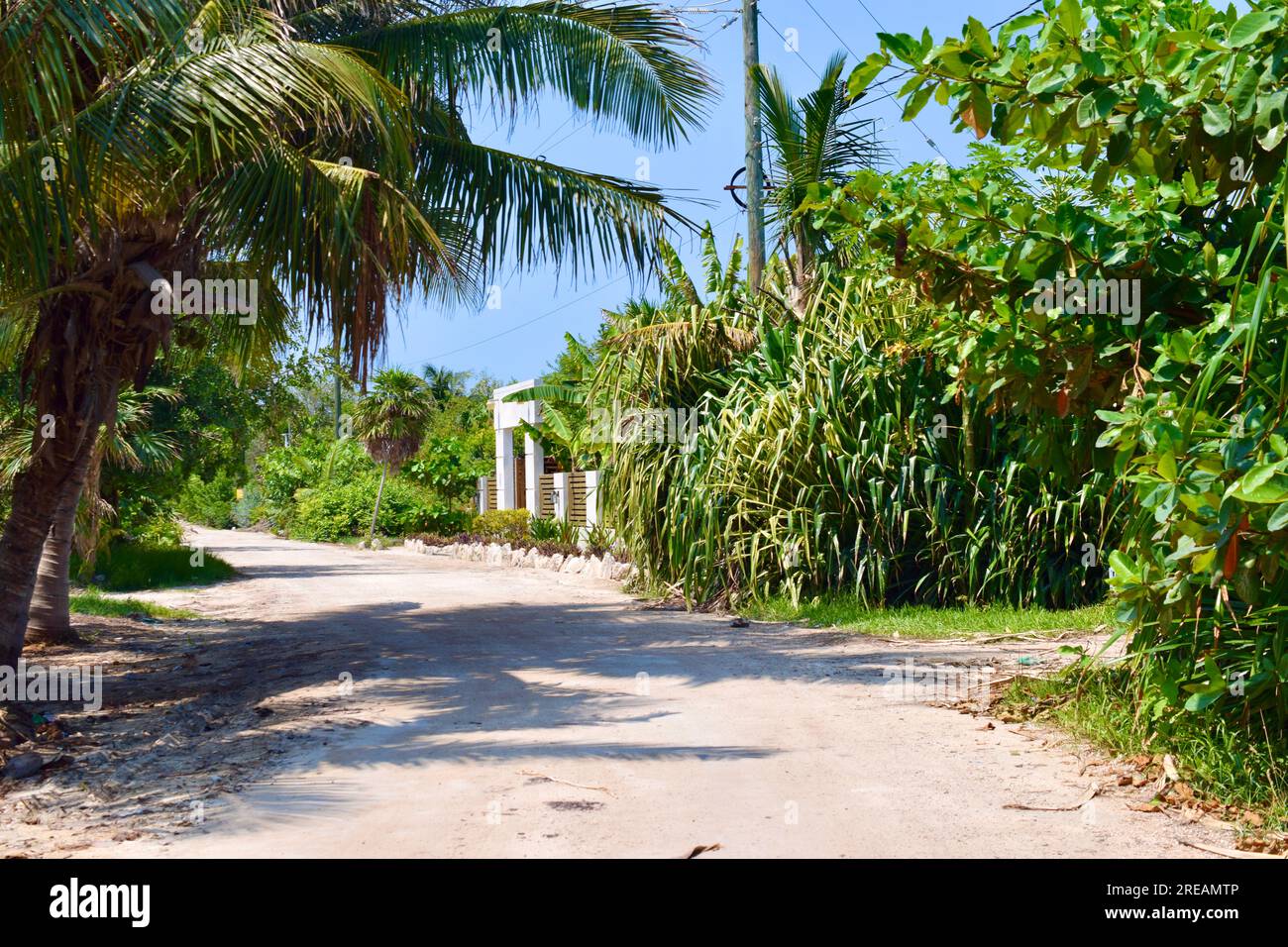 La route accidentée allant à l'extrémité nord d'Ambergris Caye, Belize. Caraïbes/Amérique centrale. Banque D'Images