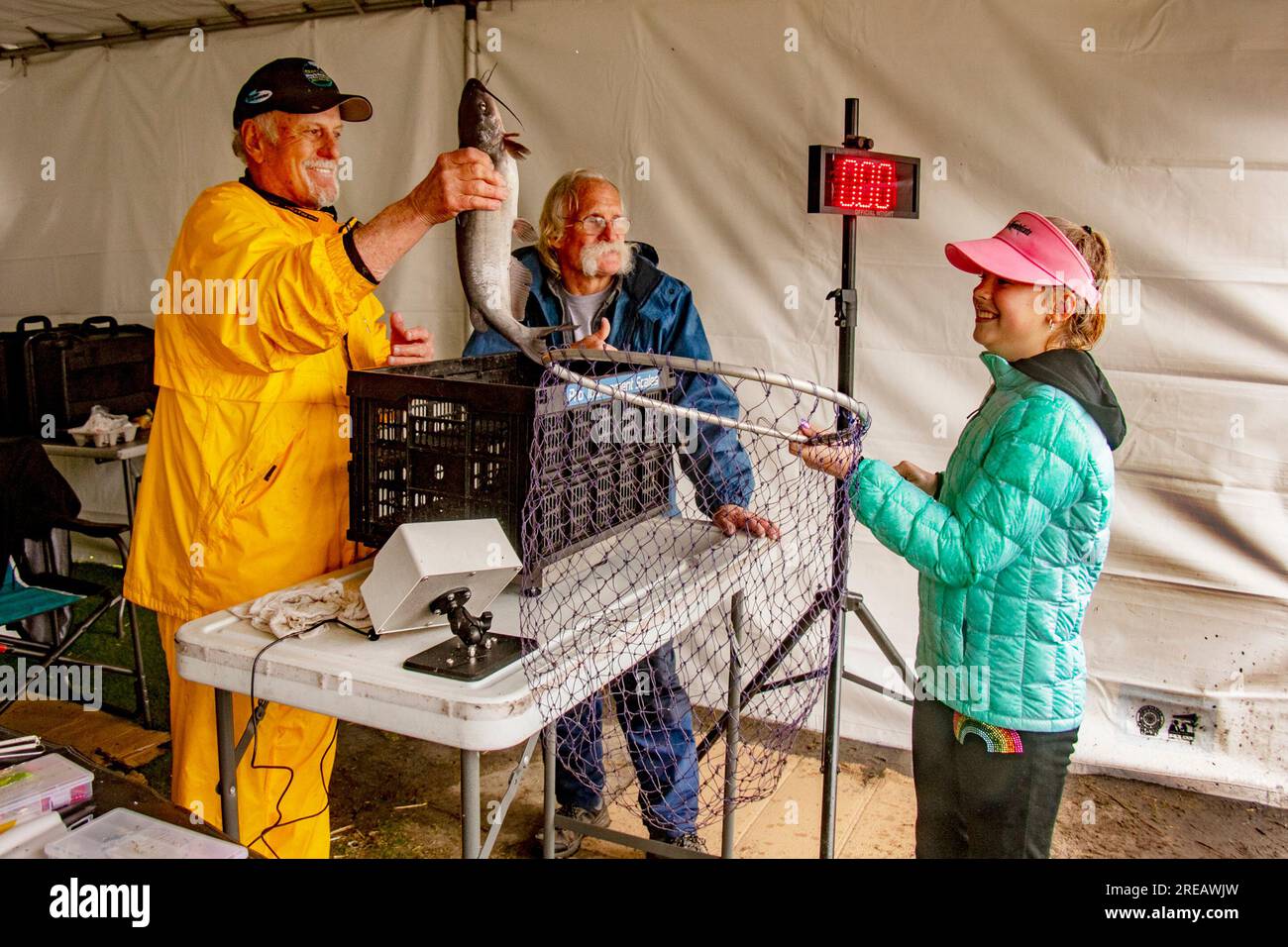 Fountain Valley, Californie, États-Unis. 2 février 2019. Les prises de poisson-chat d'un jeune adulte sont pondérées sur une échelle numérique lors d'un derby de pêche par jour de pluie à Fountain Valley, en Californie. (Image de crédit : © Spencer Grant/ZUMA Press Wire) USAGE ÉDITORIAL SEULEMENT! Non destiné à UN USAGE commercial ! Banque D'Images