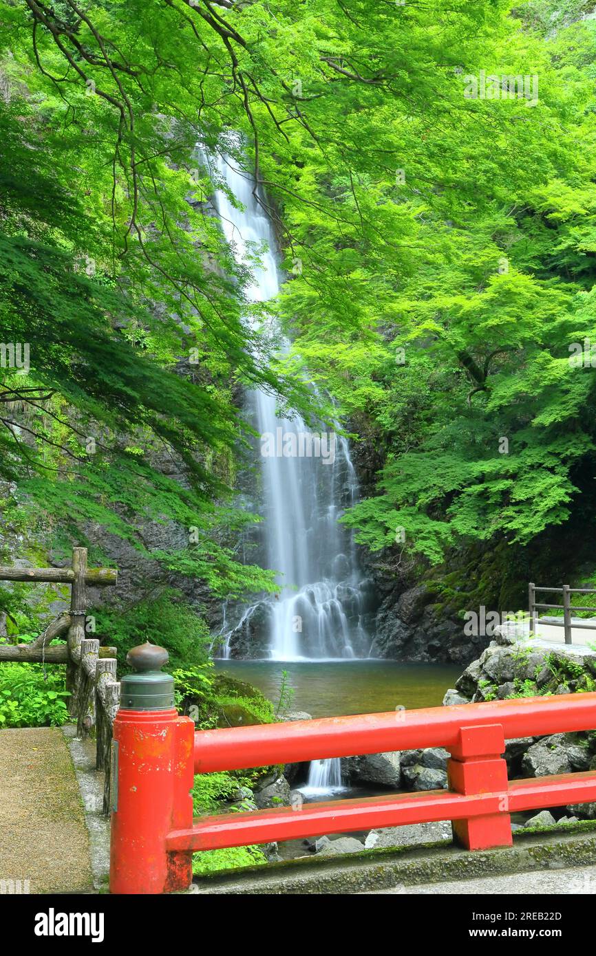 Minoh Falls au début de l'été Banque D'Images