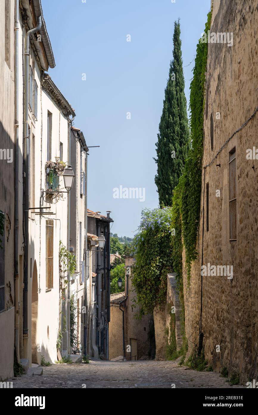 Vue verticale du paysage de la vieille rue étroite dans le centre-ville historique pittoresque de Montpellier, France en été Banque D'Images