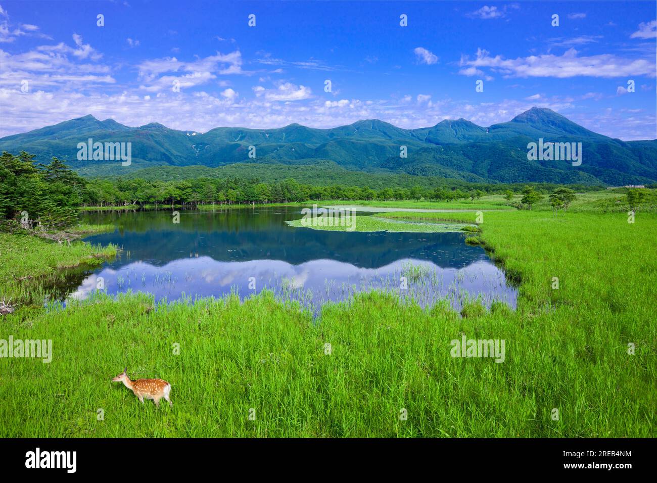 Shiretoko Goko Lakes Banque D'Images