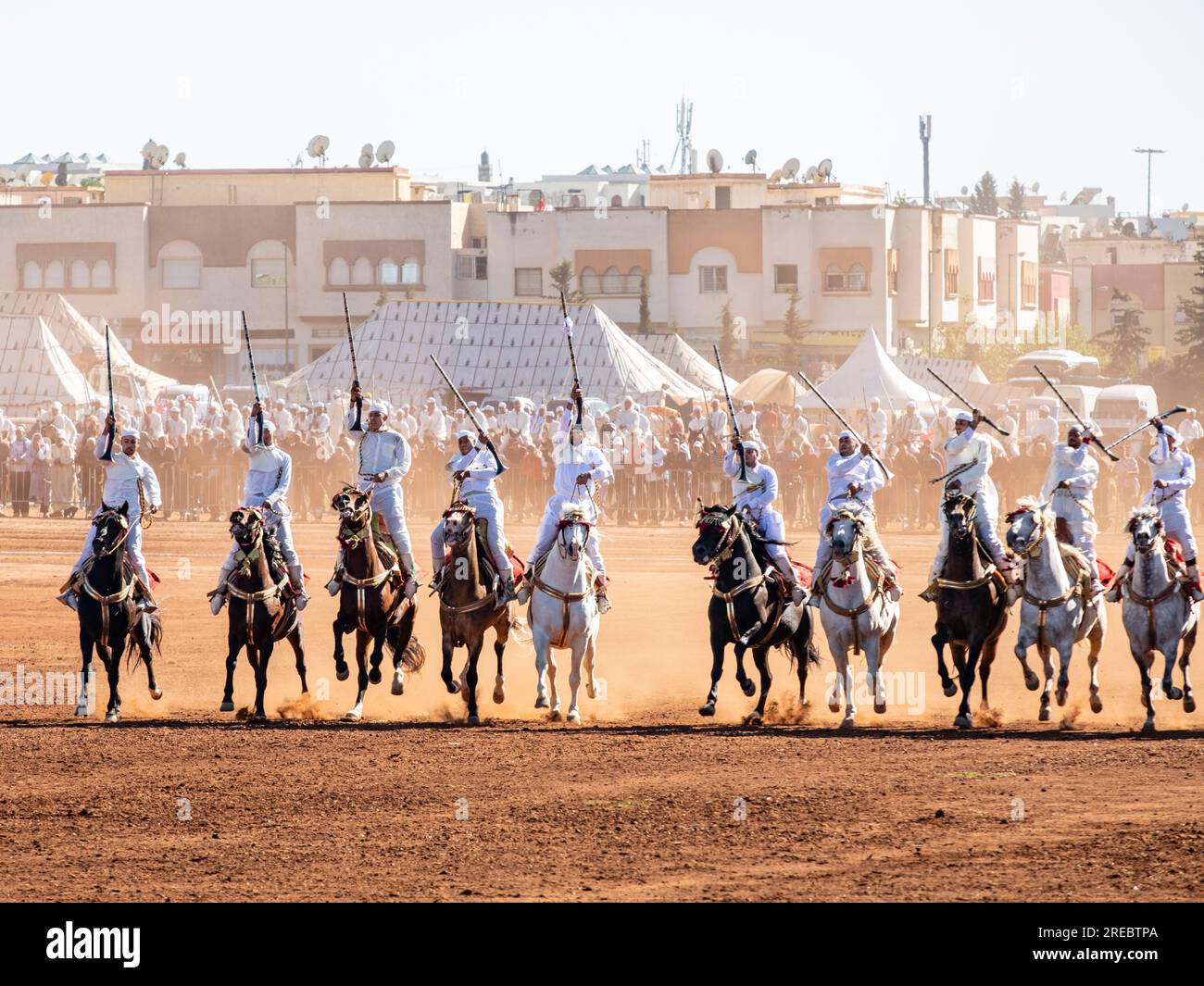 Fantasia, - Tbourida -, Fès, Marruecos, Afrique Banque D'Images