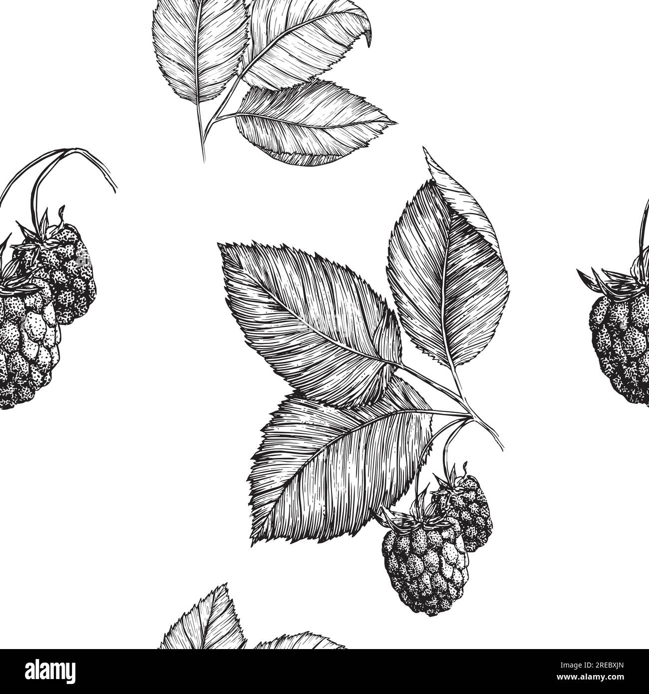 Modèle sans couture Raspberry. Dessin vectoriel. Croquis isolé de branche de baies. Fond de style gravé de fruits d'été. Cuisine végétarienne détaillée dessinée à la main. Illustration de Vecteur