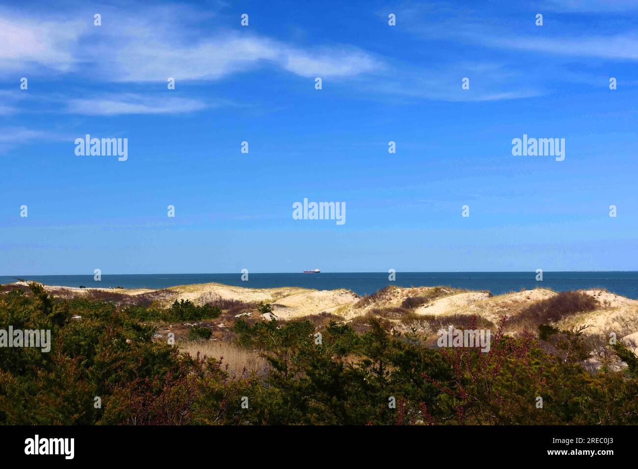 dunes de sable par une journée ensoleillée au parc d'état de cape henlopen, lewes, côte est du delaware Banque D'Images