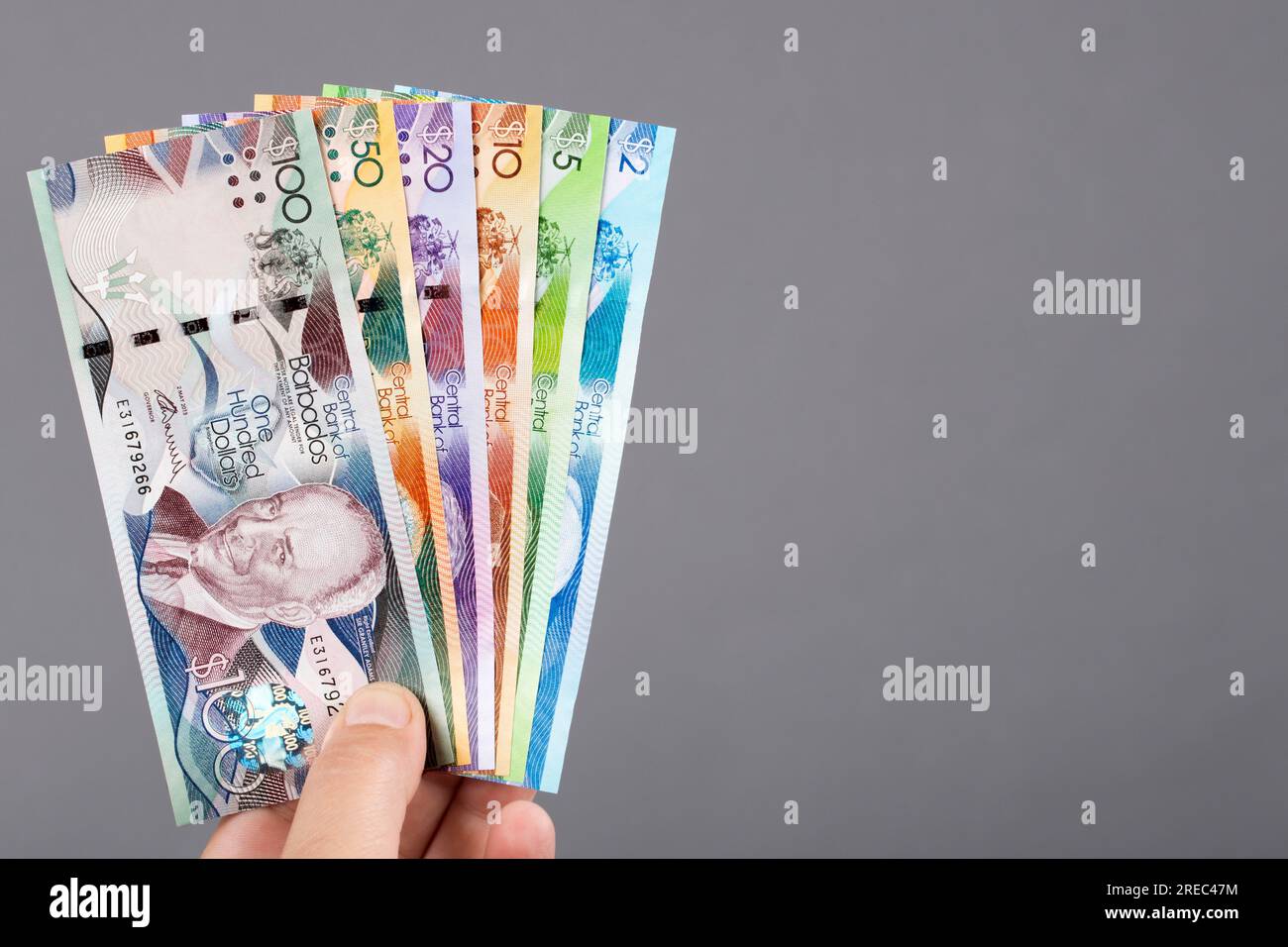 Argent barbadien - dollar dans la main sur un fond gris Banque D'Images