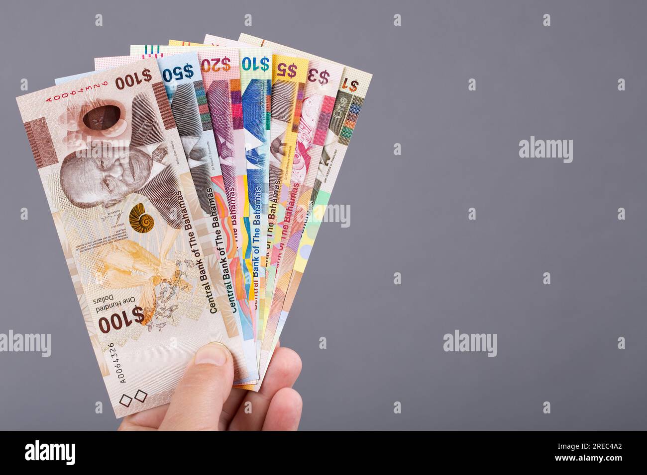 Argent bahamien - dollar dans la main sur un fond gris Banque D'Images