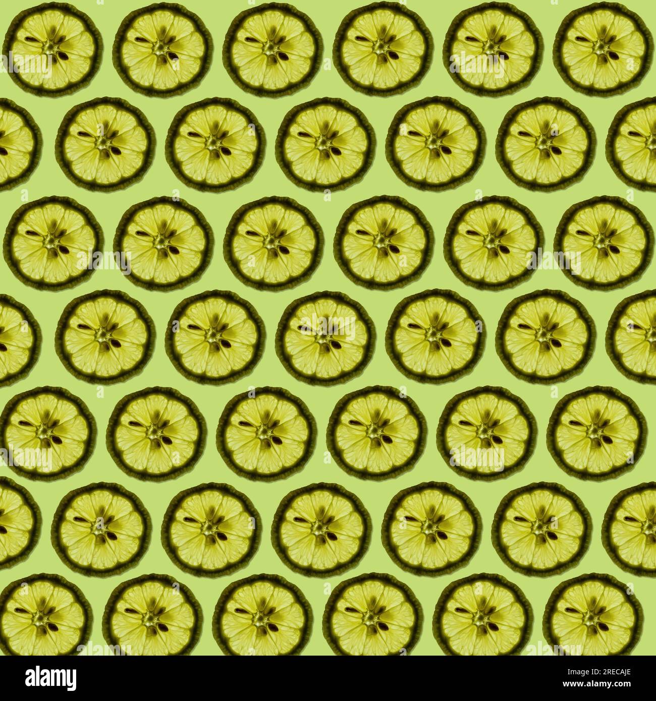 Tranches de citron frais sur fond vert clair formant un beau fond de motif de texture de papier peint. Banque D'Images