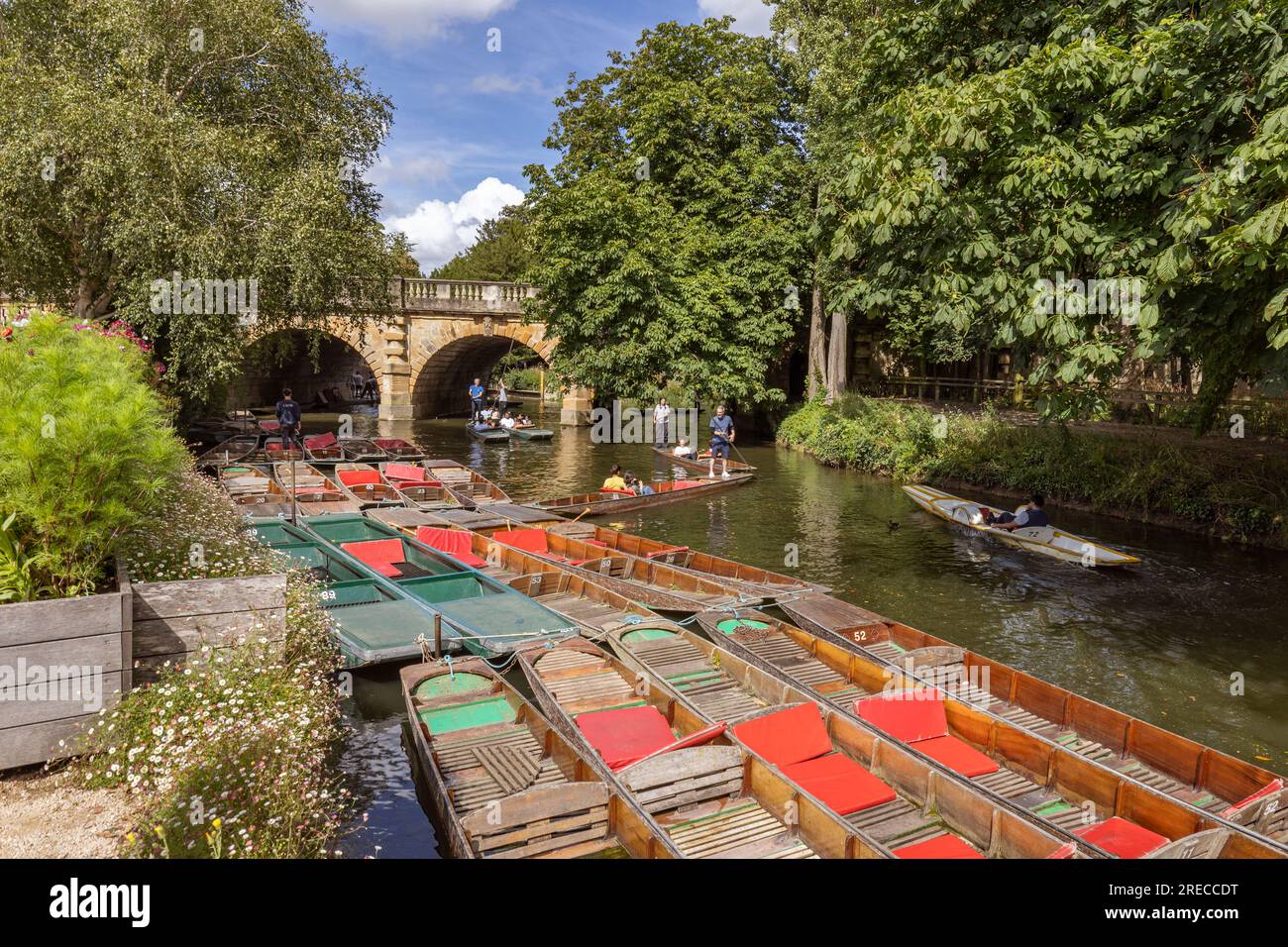 Touristes punting dans la rivière Cherwell à côté des jardins botaniques d'Oxford et Magdalen Bridge, Oxfordshire, Angleterre Banque D'Images