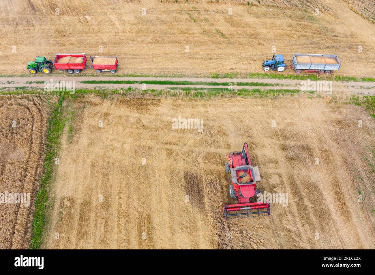 Moissonneuse-batteuse travaillant sur le champ de blé. Vue aérienne de l'agriculture Banque D'Images