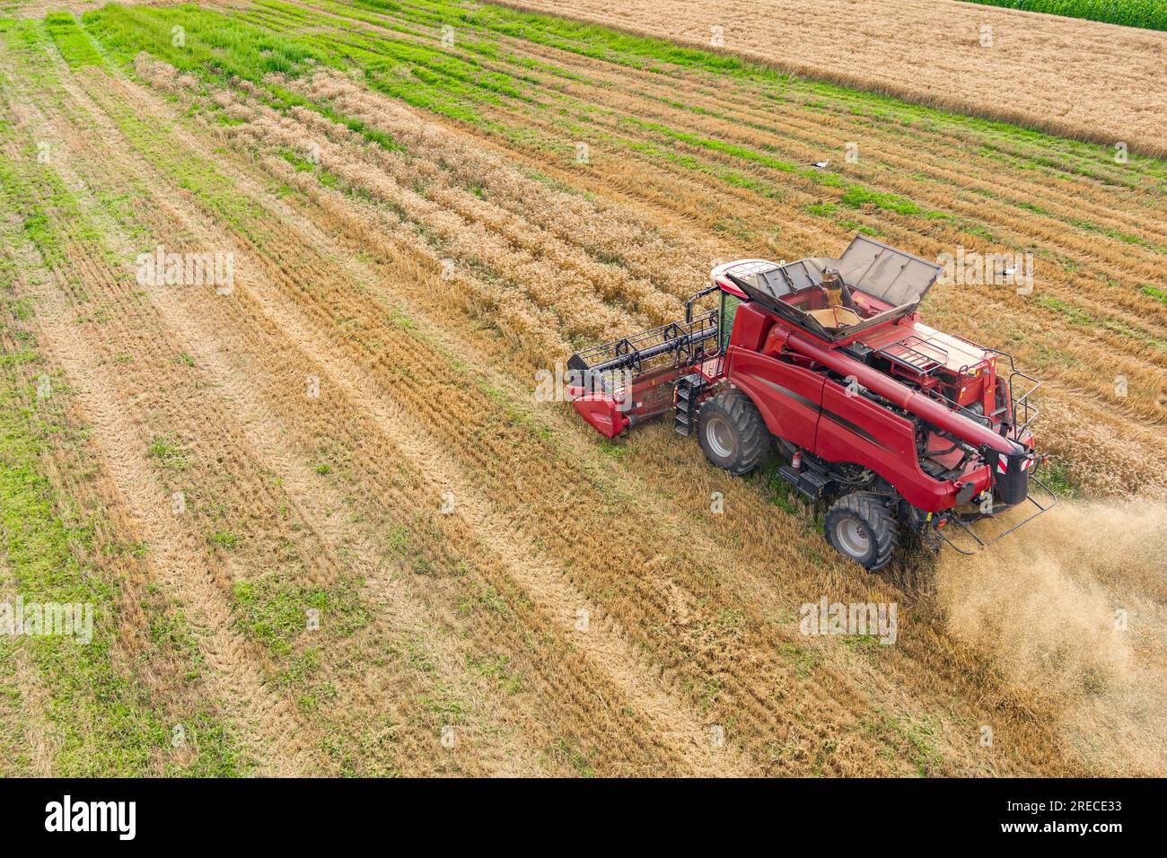 Machine de récolte pour le travail dans les champs de blé. Vue aérienne de l'agriculture Banque D'Images