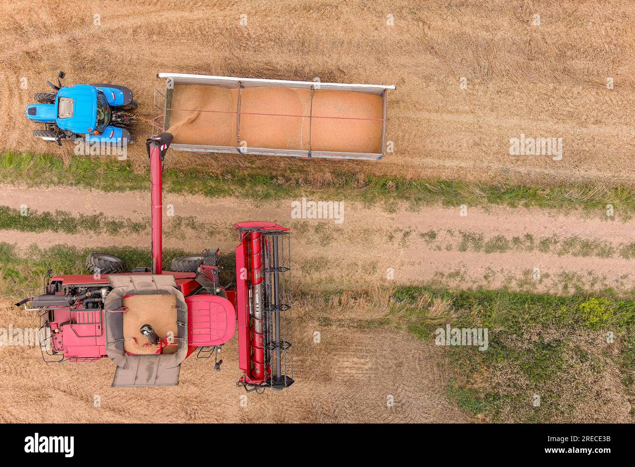 Moissonneuse-batteuse et tracteur travaillant sur un champ de blé. Vue aérienne de l'agriculture Banque D'Images