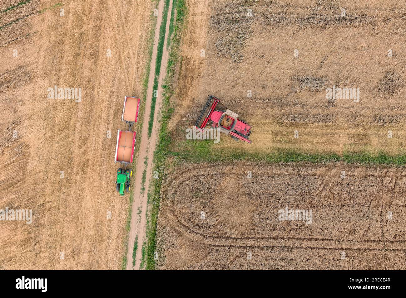 Moissonneuse-batteuse travaillant sur le champ de blé. Vue aérienne de l'agriculture Banque D'Images