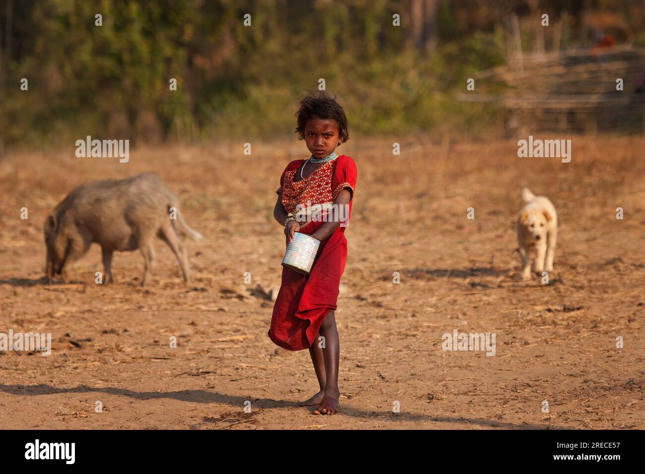 Une fille de ferme tribale nourrissant des animaux en Inde Banque D'Images