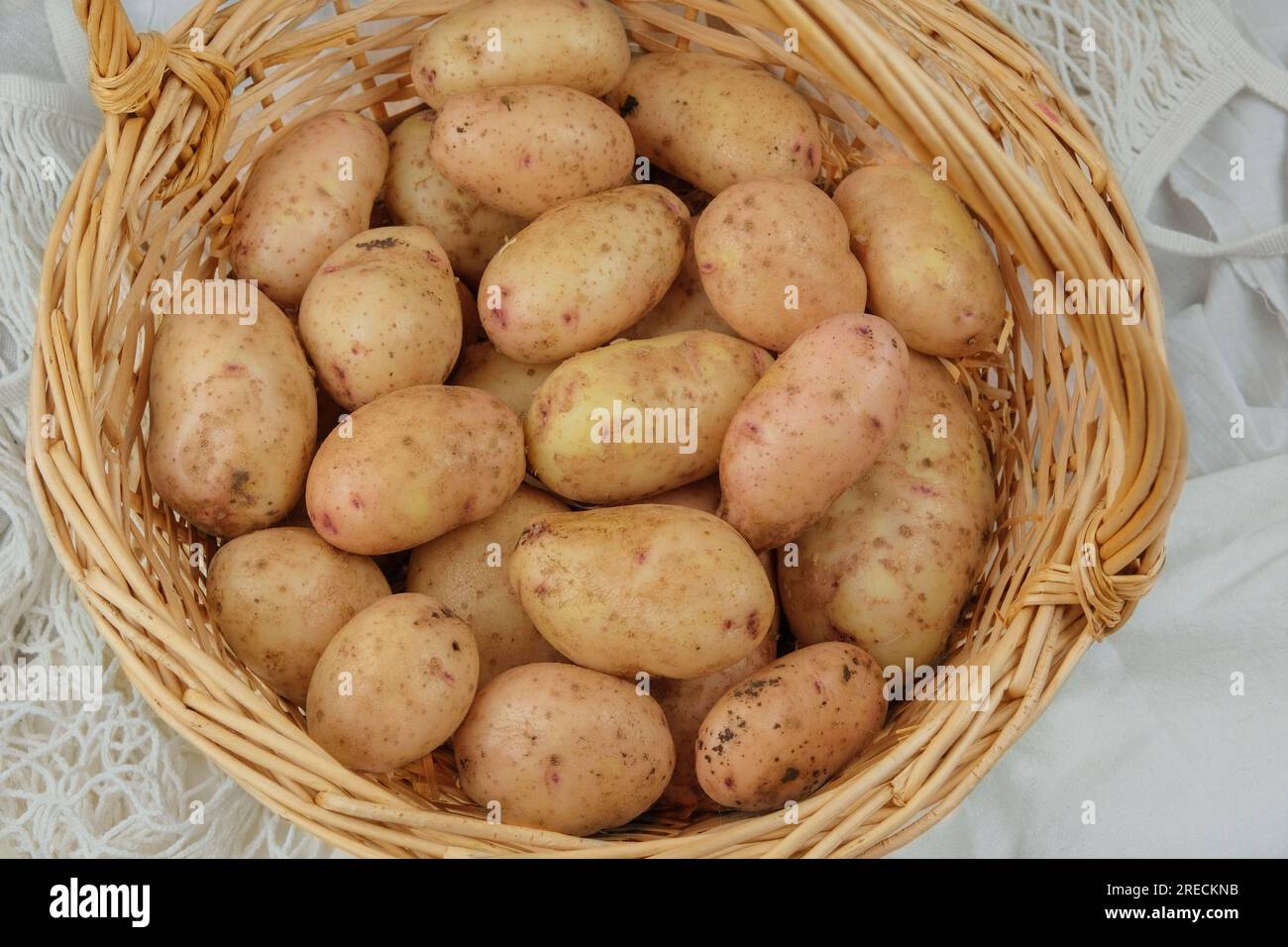 Pommes de terre dans un panier de paille. Récolte et jardinage biologique. Style village. La vie à la campagne. Banque D'Images
