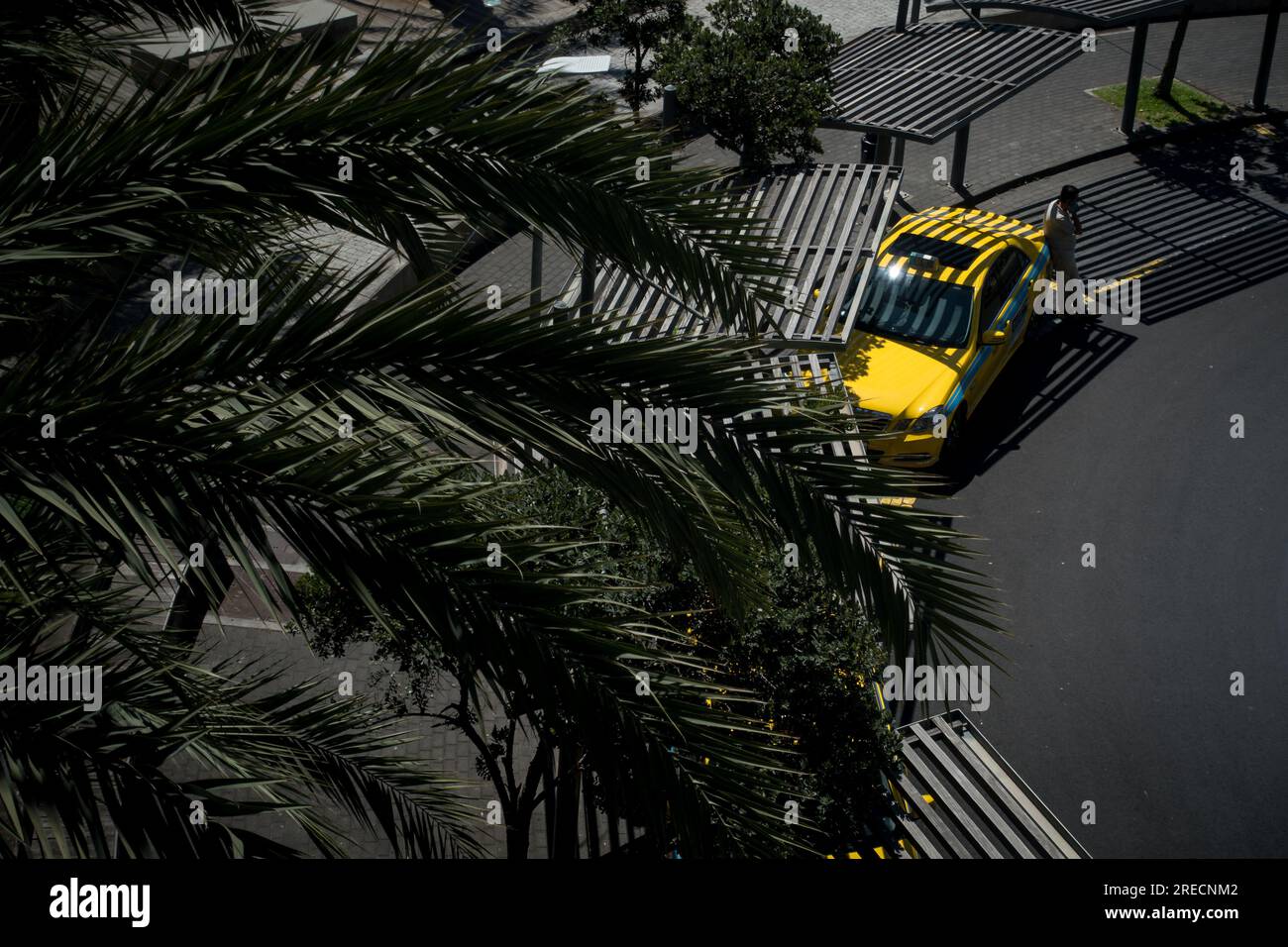 La flotte de taxis jaune vif de Madère est une vue familière de l'île portugaise. Banque D'Images