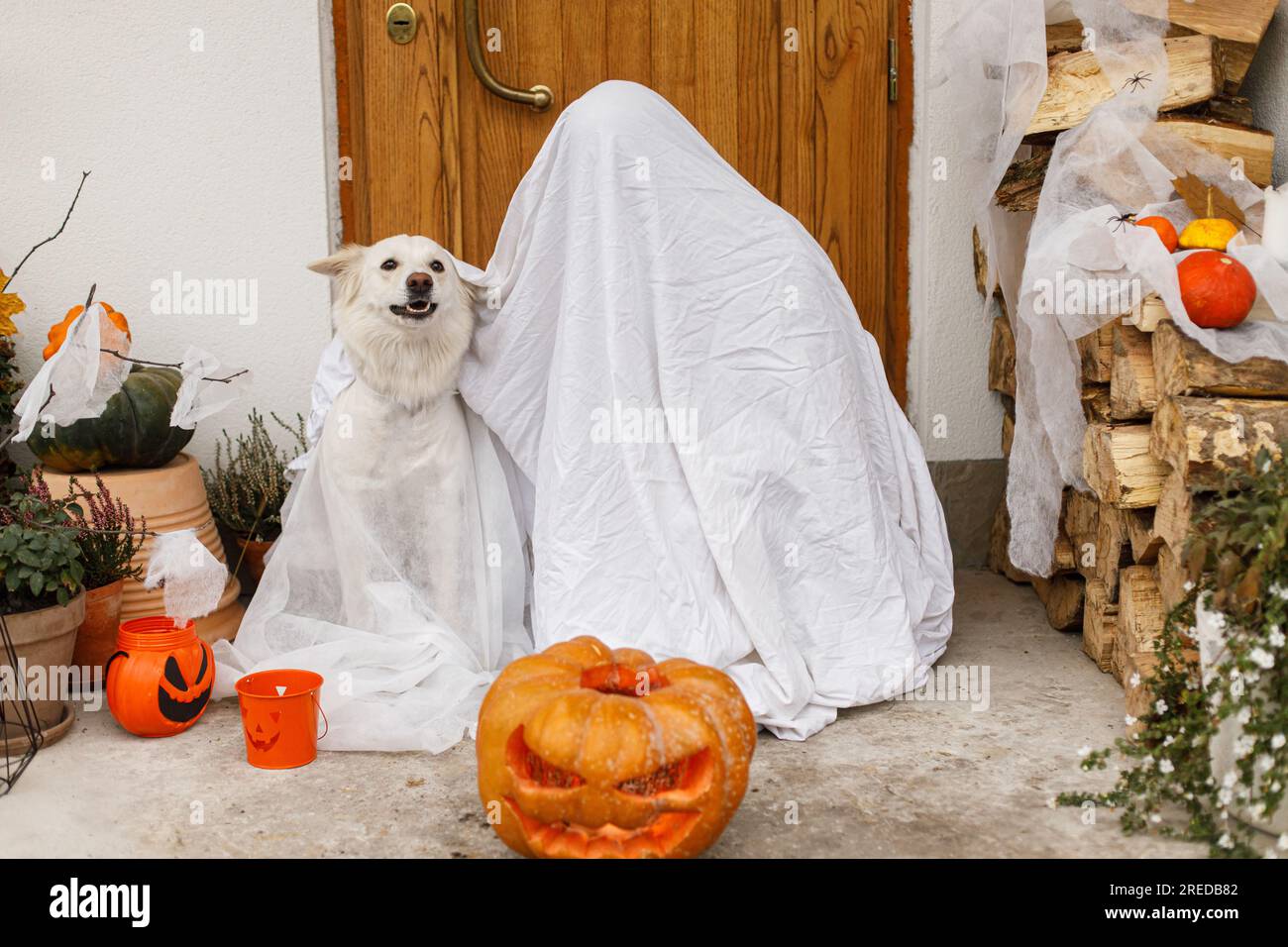 Fantôme effrayant et chien mignon avec Jack o lanterne à l'avant de la maison avec des décorations effrayantes d'halloween sur le porche. Friandise ou friandise ! Personne et chiot habillés comme Banque D'Images