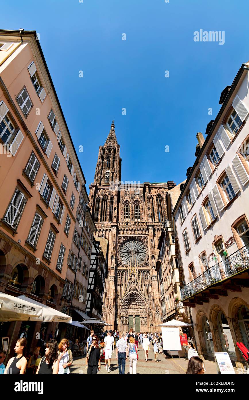 Strasbourg Alsace France. Route des vins d'Alsace. La cathédrale Banque D'Images