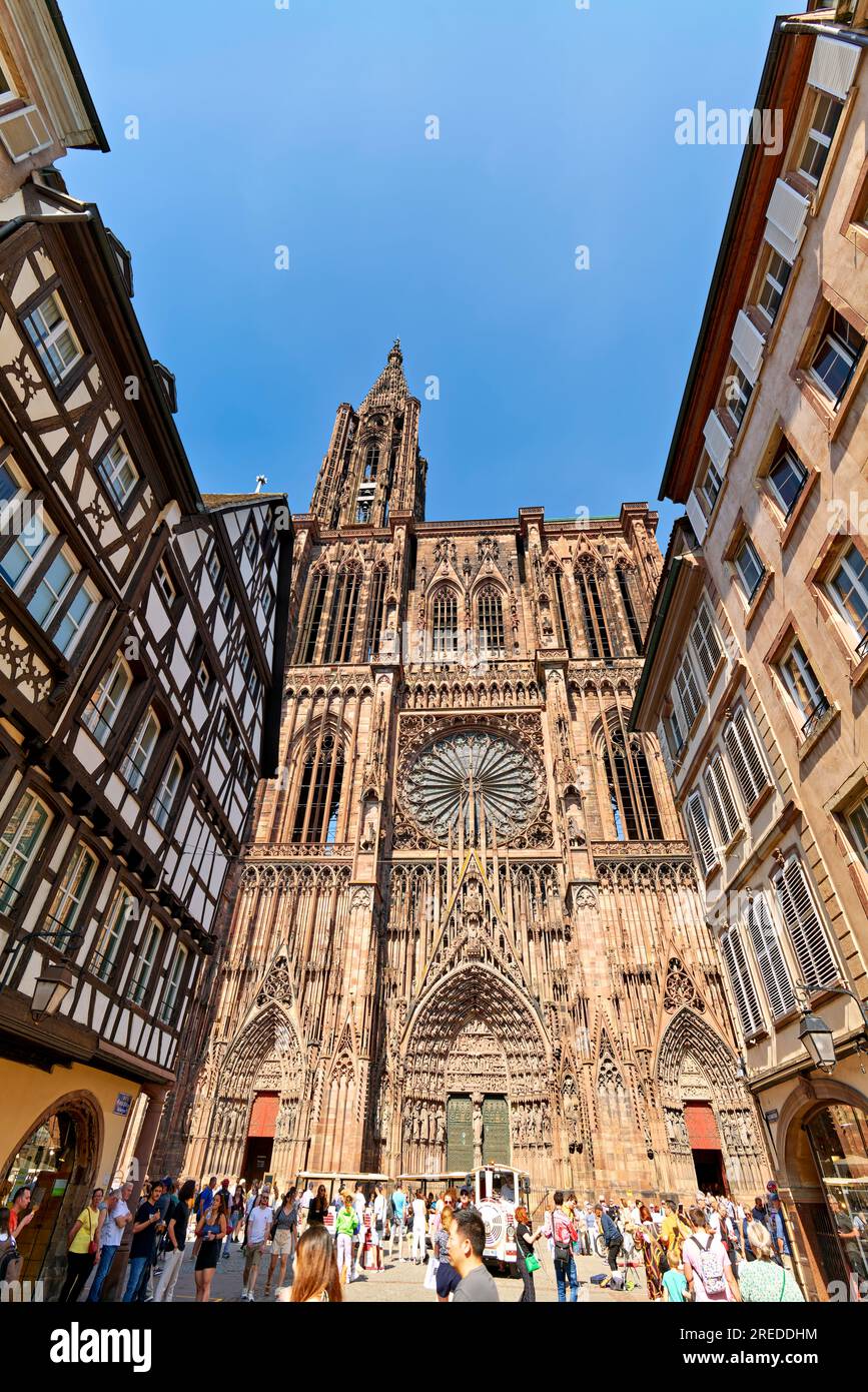 Strasbourg Alsace France. Route des vins d'Alsace. La cathédrale Banque D'Images