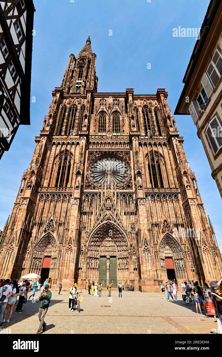 Strasbourg Alsace France. Route des vins d'Alsace. La cathédrale Banque D'Images
