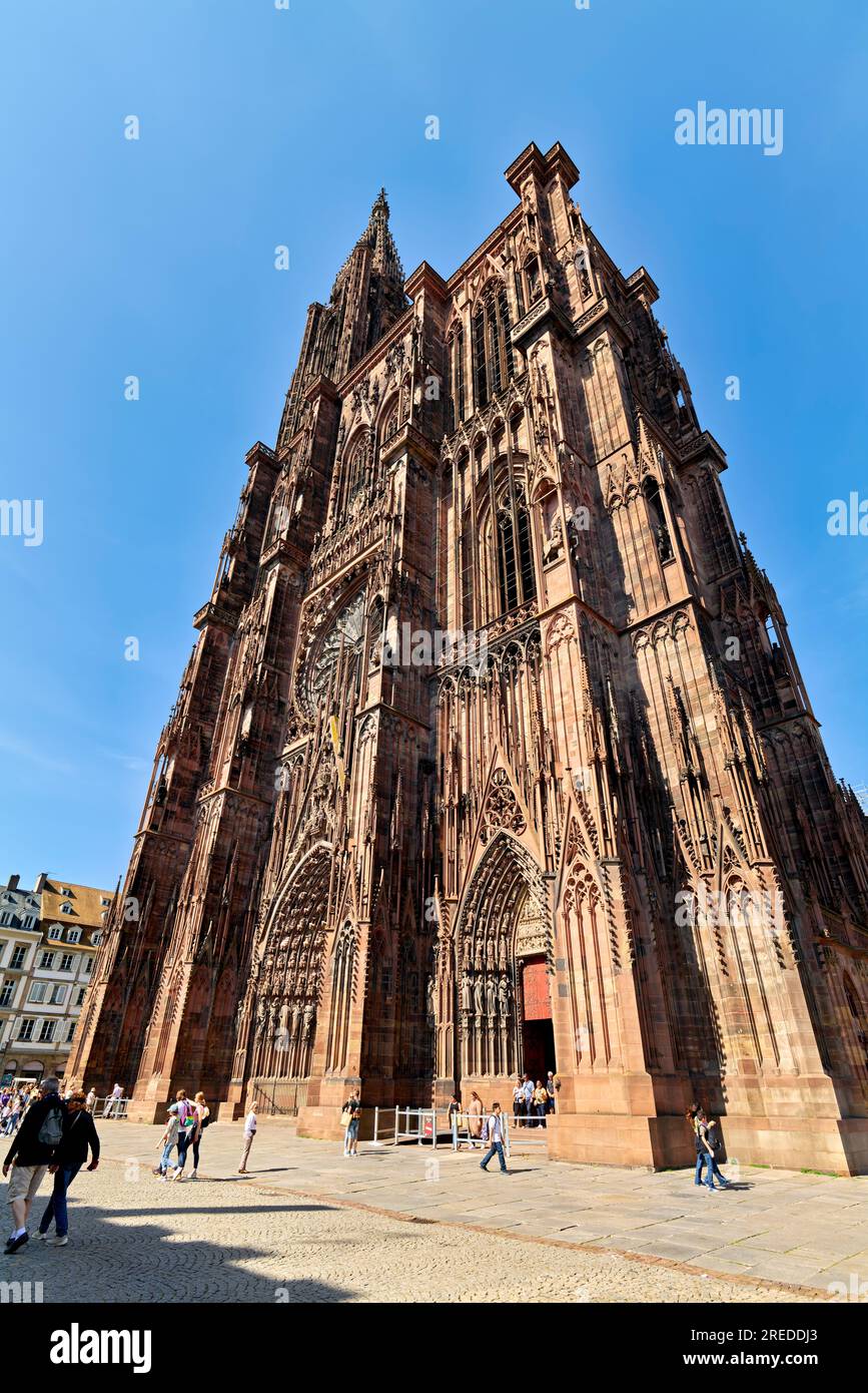 Strasbourg Alsace France. Route des vins d'Alsace. La cathédrale Banque D'Images