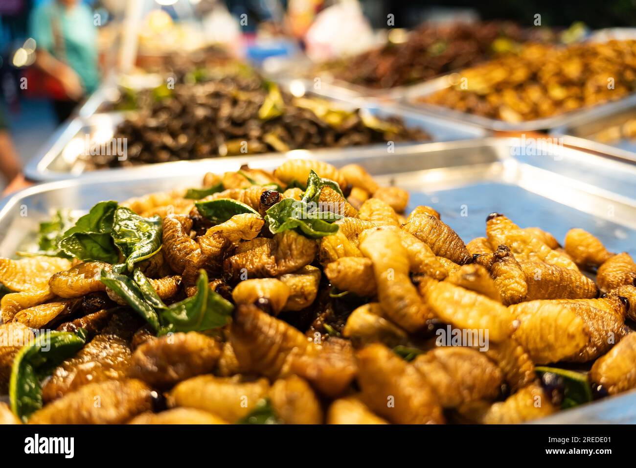 Nourriture étrange, nourriture bizarre. insectes frits, nourriture de rue locale dans le marché de nuit, thaïlande. Pupe, nourriture frite vers à soie, larves d'insectes frits grignotent comme exo Banque D'Images