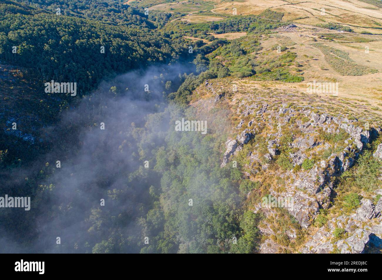 vue aérienne d'une montagne avec une forêt de chênes et un peu de brouillard. Banque D'Images
