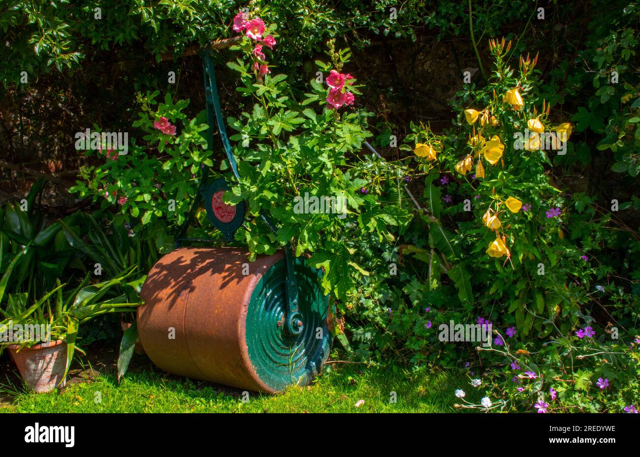 Un coin informel du jardin. Banque D'Images