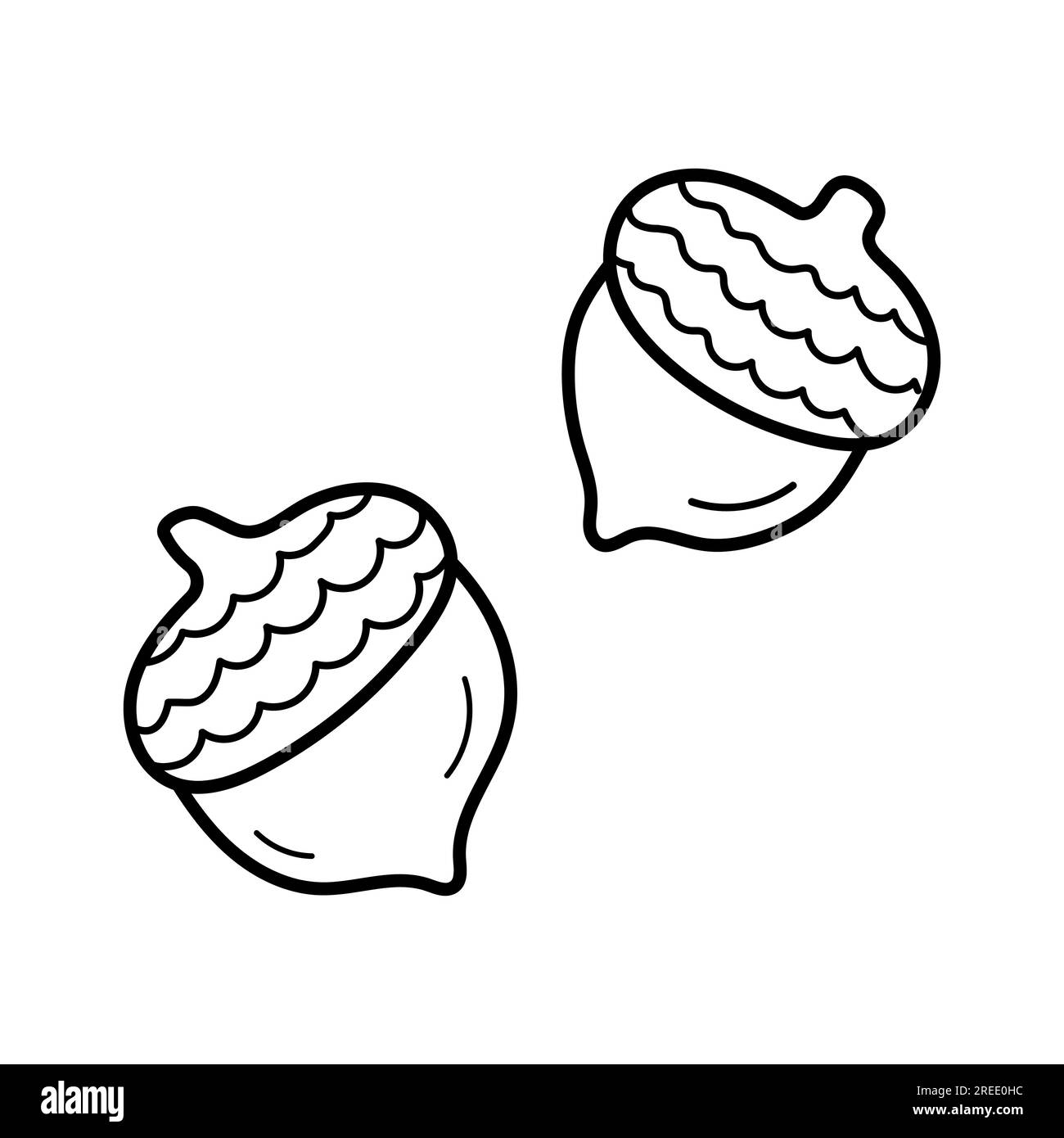 Acorn. Icône de croquis dessiné à la main de fruits de chêne. Illustration vectorielle isolée dans le style de ligne doodle. Illustration de Vecteur