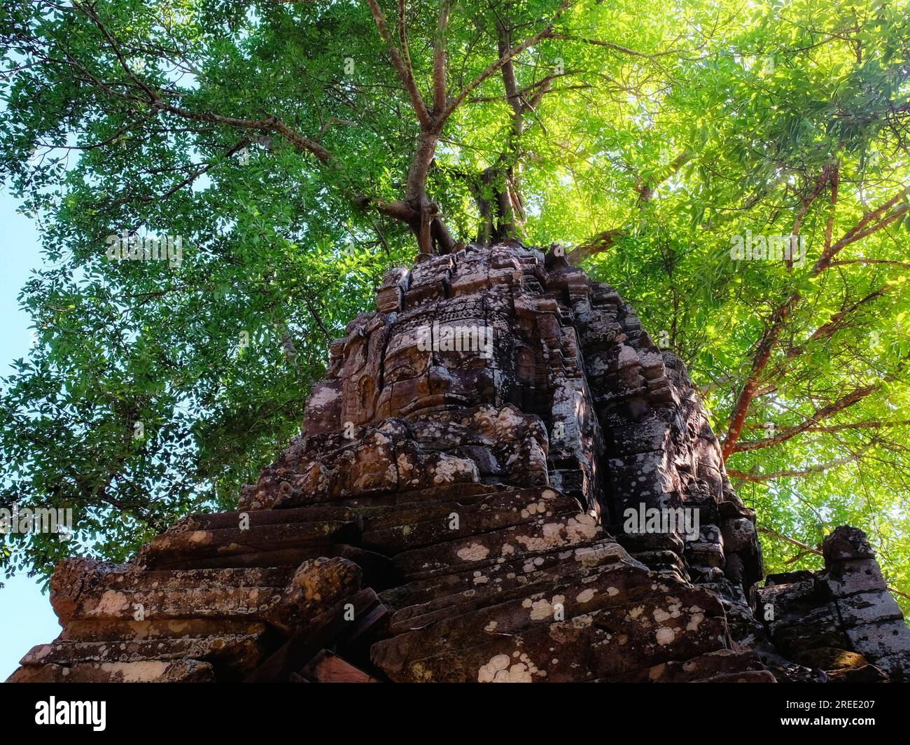 Un grand visage humain au sommet de la tour de l'ancien temple de Ta Som au Cambodge, des arbres près des ruines antiques. Banque D'Images