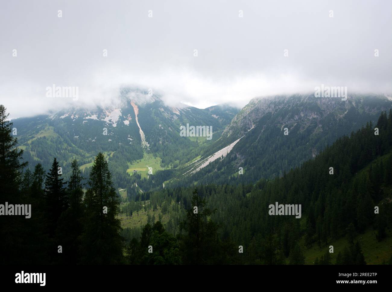 Détail de la région de Dachstein dans les Alpes , Autriche Banque D'Images