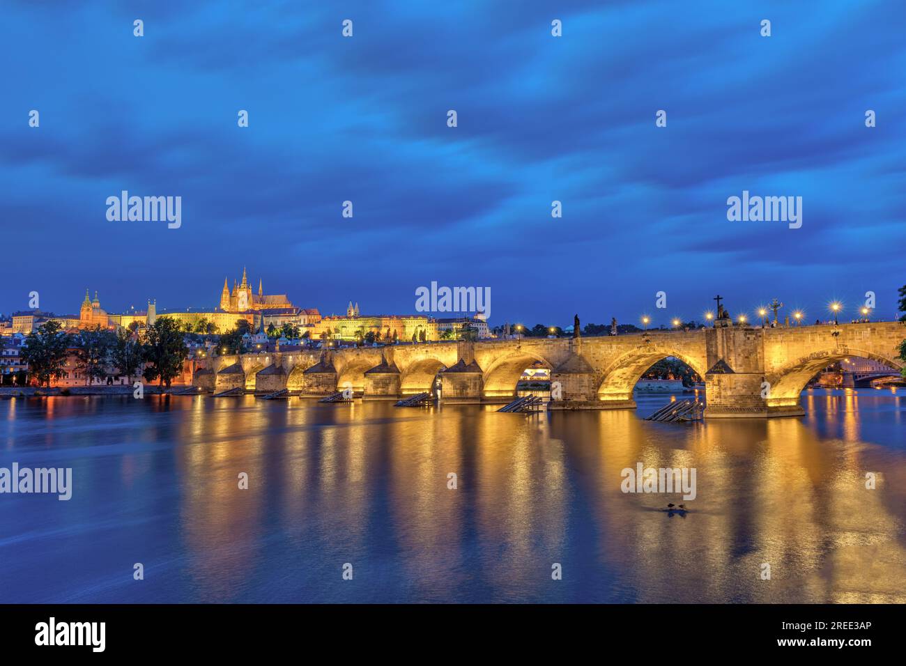 Le château et le célèbre pont Charles à Prague la nuit Banque D'Images