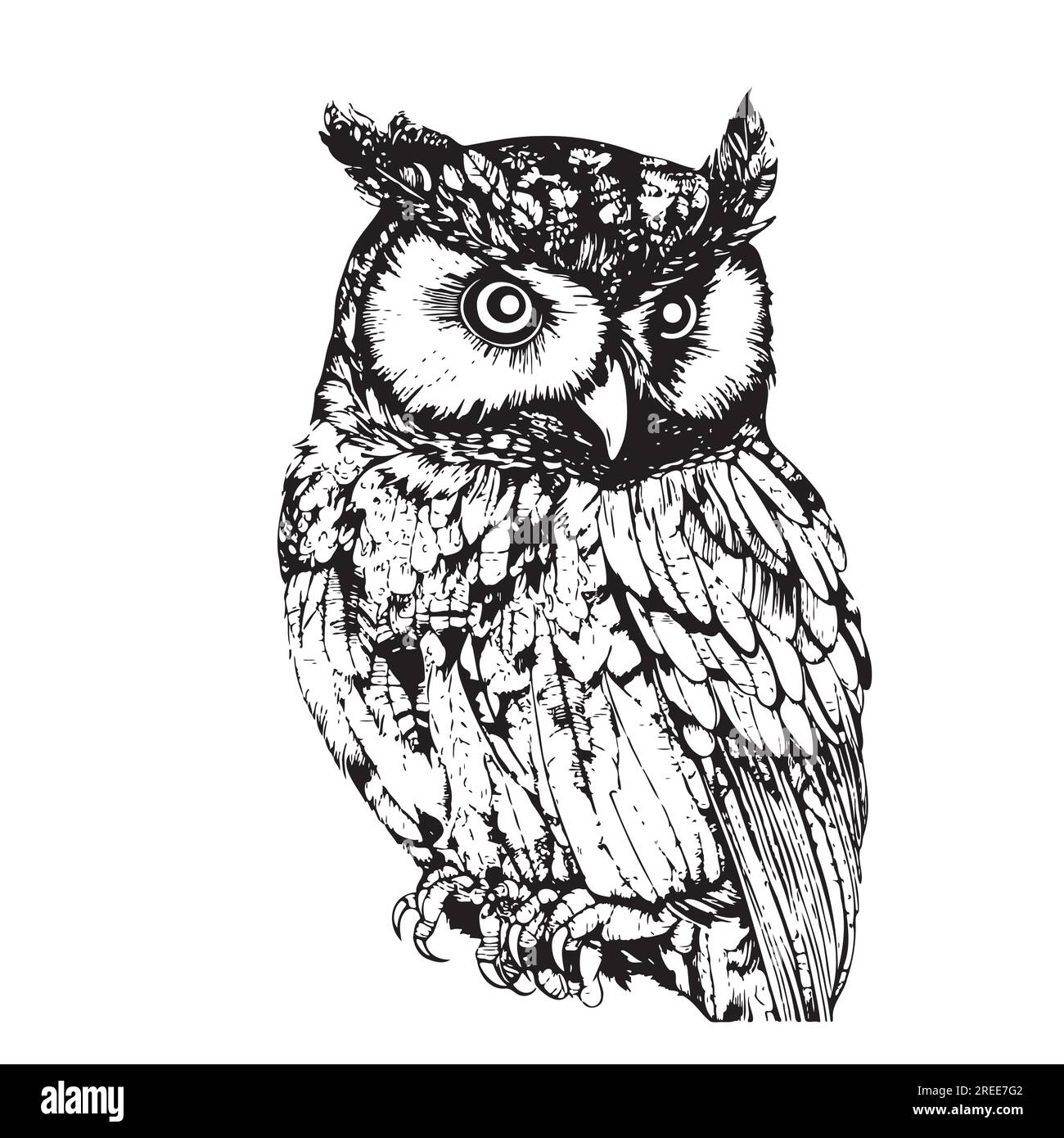 Esquisse de sitting oiseau hibou dessinée à la main dans le style Doodle Vector Illustration de Vecteur