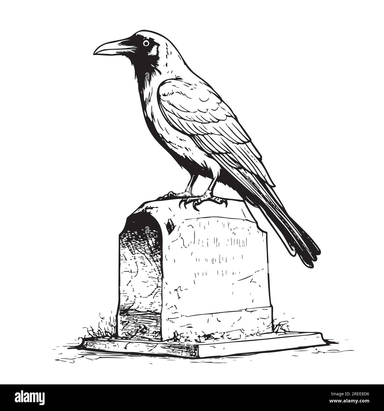 Oiseau de Raven assis sur la tombe dessin à la main illustration vectorielle Illustration de Vecteur