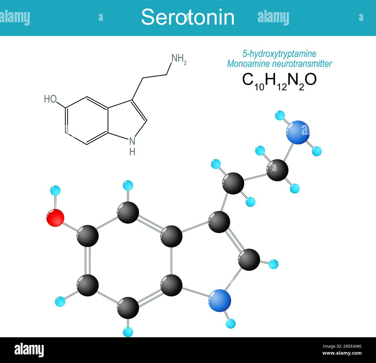 molécule de sérotonine. formule structurale chimique moléculaire et modèle du neurotransmetteur monoamine. Hormone du régulateur de l'humeur. Illustration vectorielle Illustration de Vecteur