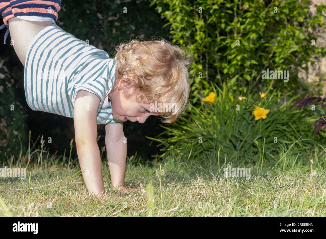 Un petit garçon se tient sur les mains dans l'herbe Banque D'Images