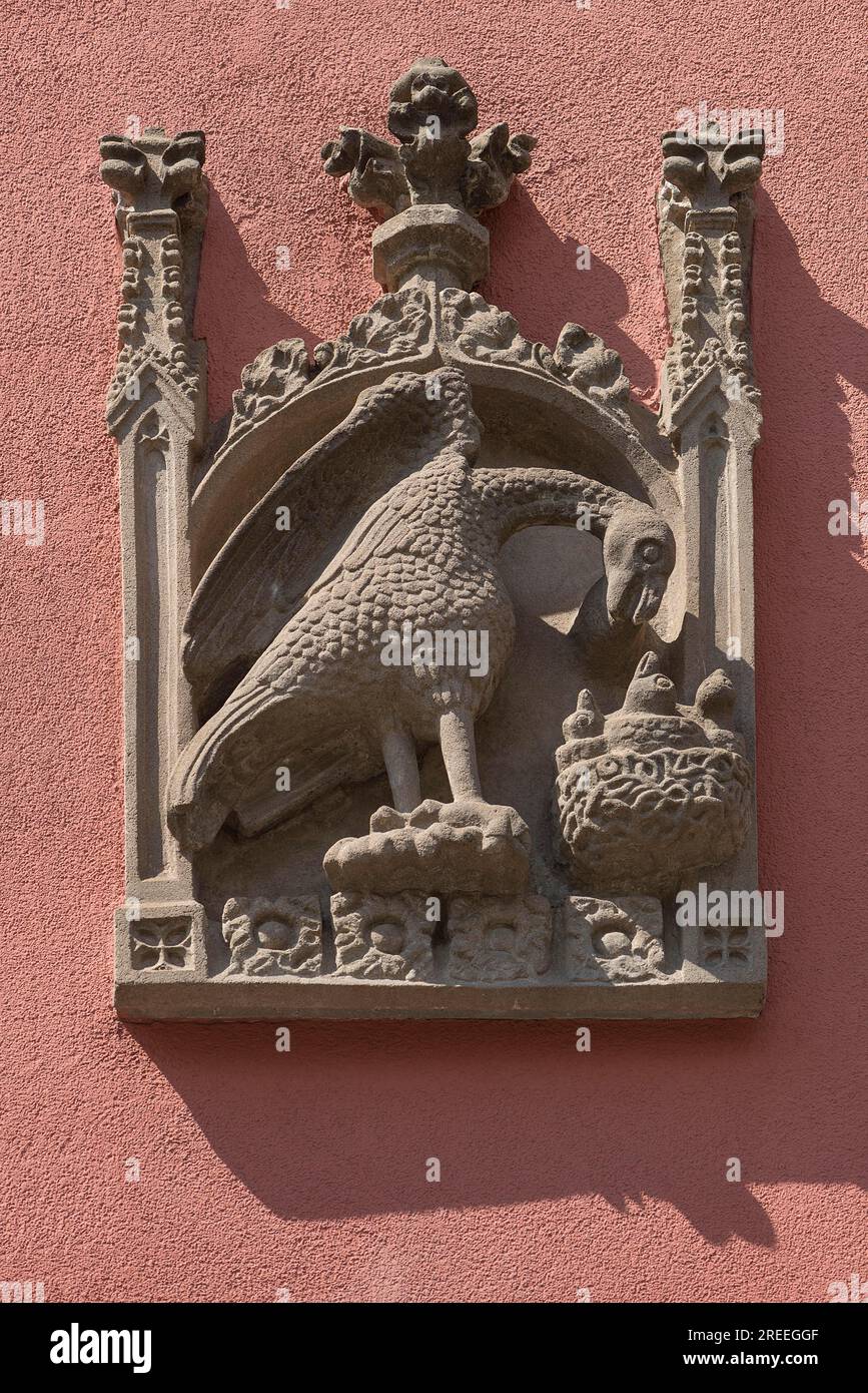 Signe de maison, relief, aigle nourrissant ses petits dans le nid, Bergstr. 13 ud 15, Nuremberg, moyenne-Franconie, Bavière, Allemagne Banque D'Images