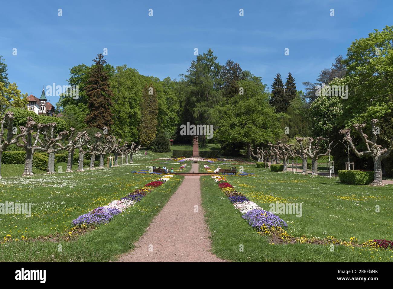 Jardin de ville avec avenue platane (Platanus), Emmendingen, Baden-Wuerttemberf, Allemagne Banque D'Images