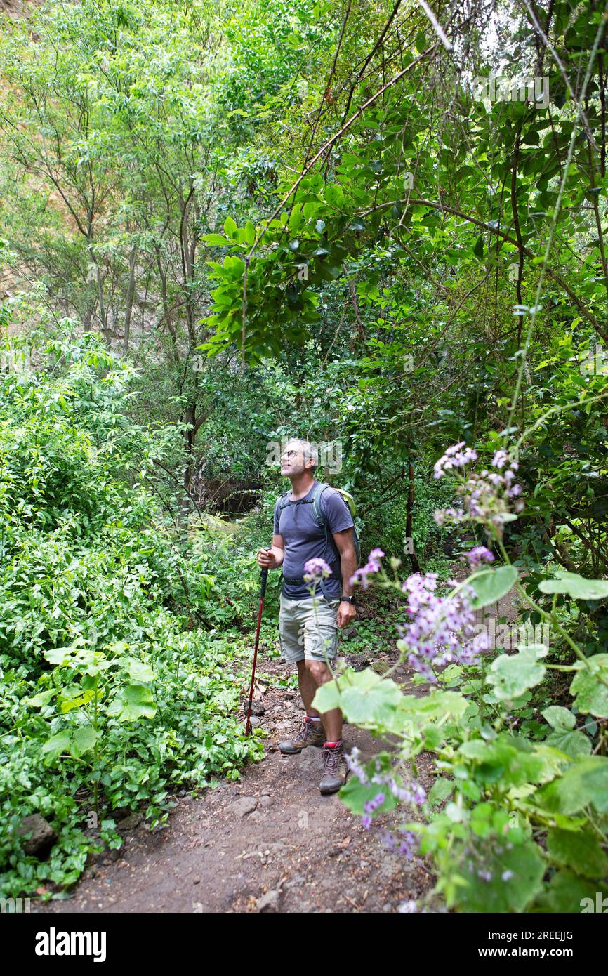 Randonneurs dans le Barranco de la Virgen, Gran Canaria, îles Canaries, Espagne Banque D'Images