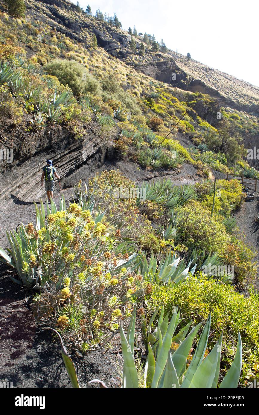 Randonneurs dans la Caldera de Bandama dans le Parc naturel de Bandama ou Monumento Natural de Bandama, province de Las Palmas, Gran Canaria, Îles Canaries, Espagne Banque D'Images