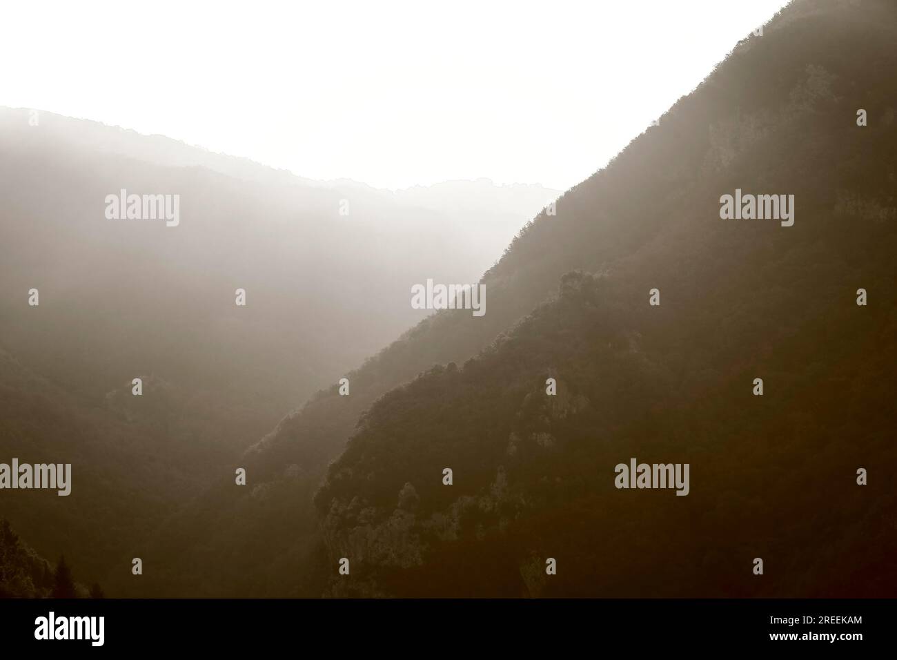 Plan noir et blanc des montagnes brumeuses au lever du soleil Banque D'Images