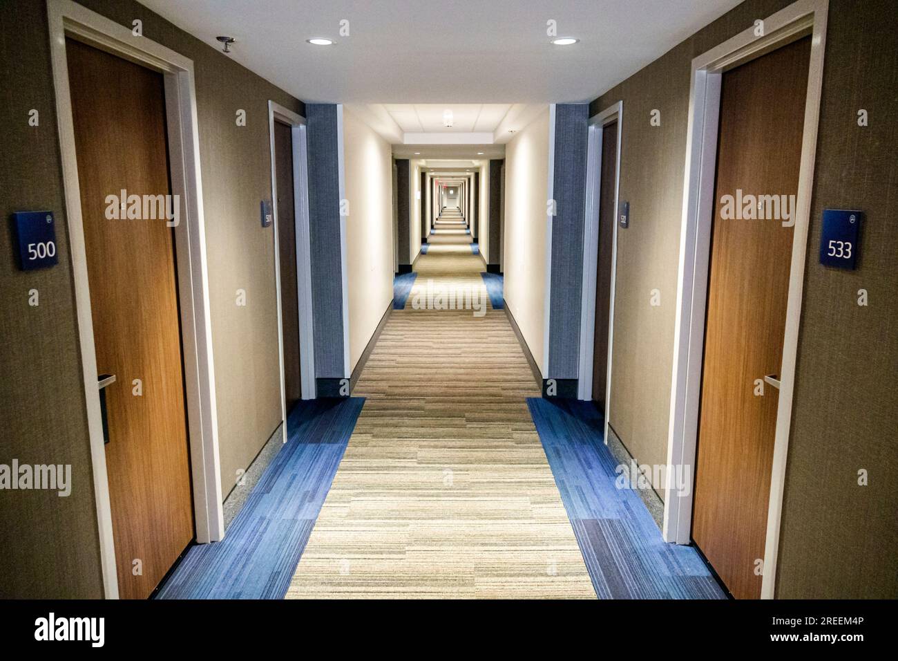 Athens Géorgie, Holiday Inn Express Athens University Area, hôtel IHG, intérieur intérieur, couloir, portes des chambres Banque D'Images