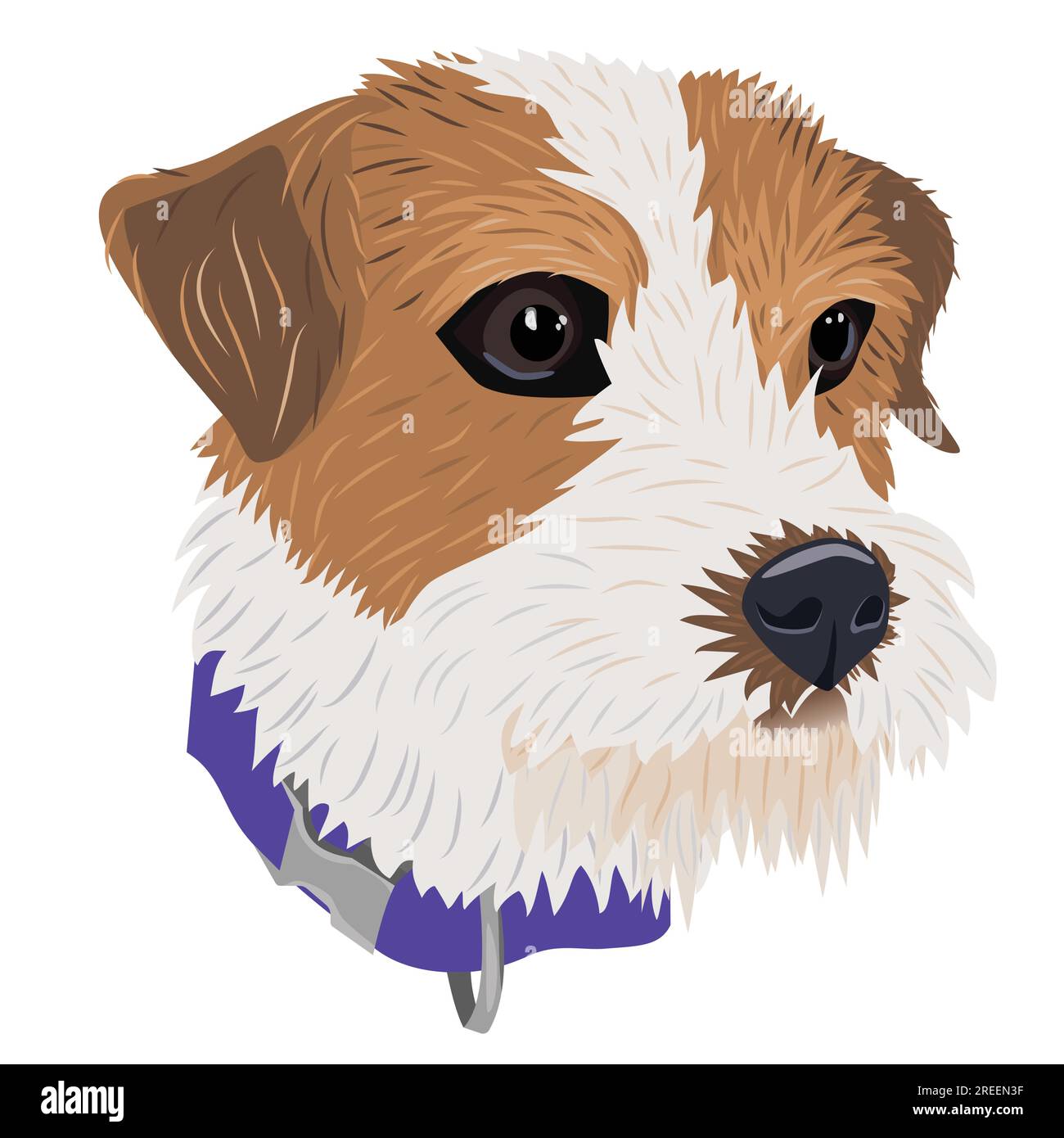 Portrait de Jack Russell Terrier sur fond blanc Illustration de Vecteur