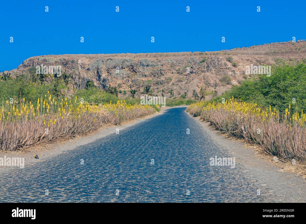 Route à travers le paysage sec. Santiago. Cabo Verde. Afrique Banque D'Images