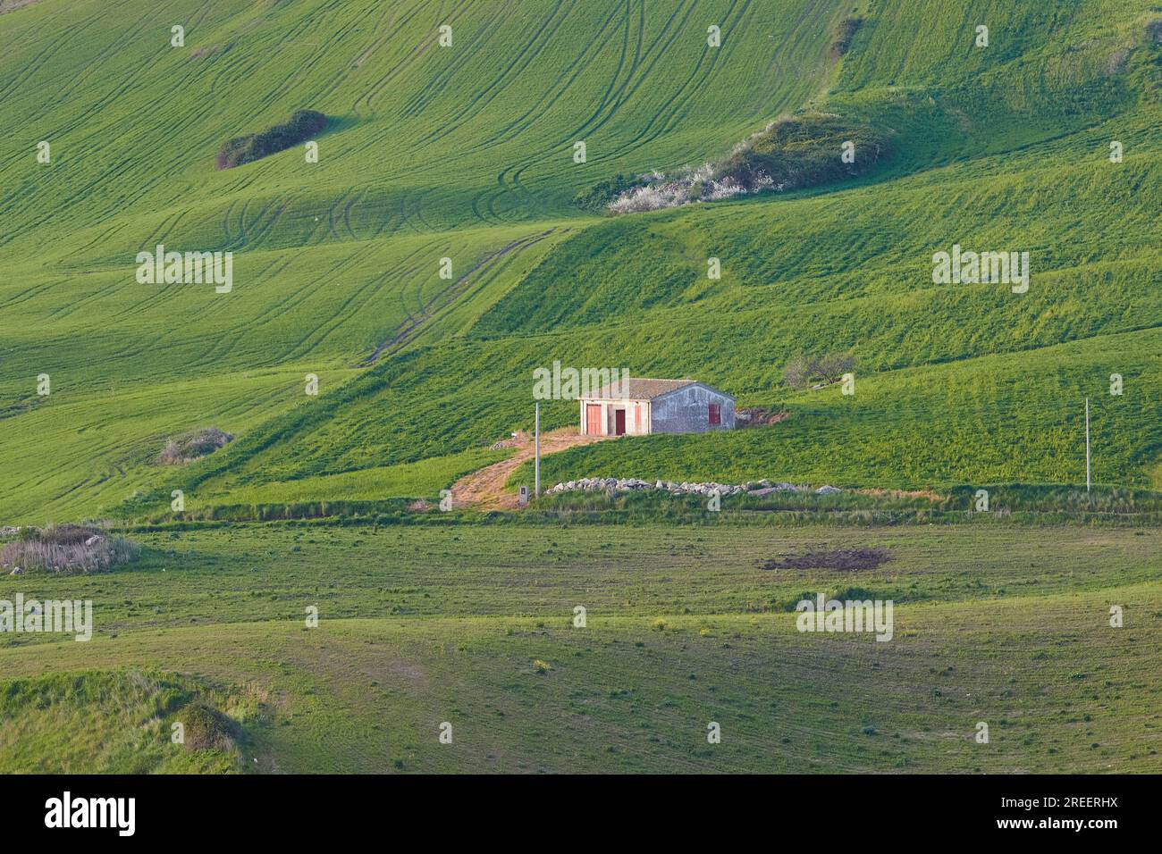 Collines vertes, champs, cabane, Parc National de Madonie, printemps, Sicile, Italie Banque D'Images