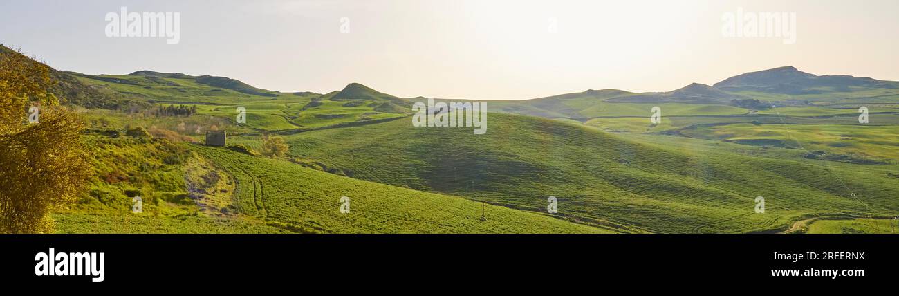 Paysage vallonné vert, arbres en fleurs, champs, parc national Madonie, printemps, Sicile, Italie Banque D'Images