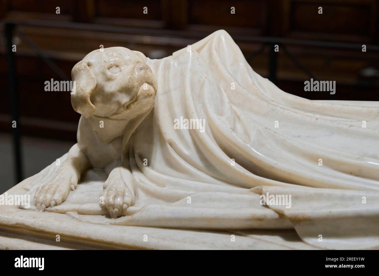 Chien garde éternellement sa maîtresse morte, détail, tombe d'Ilaria del Caretto, Monumento funebre a Ilaria del Carretto, sculpteur Jacopo della Quercia Banque D'Images