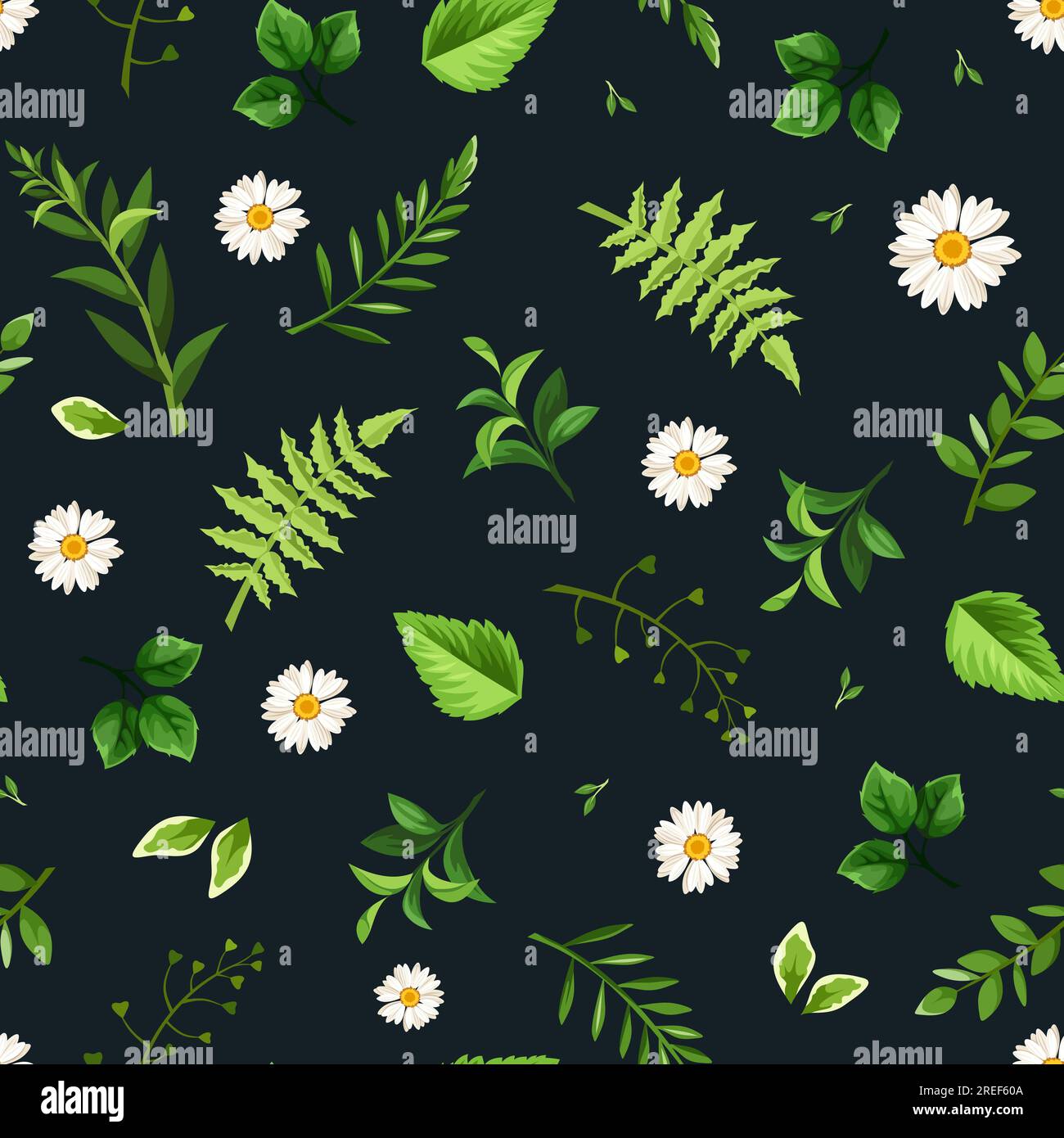 Motif floral avec de petites fleurs de Marguerite blanche et des feuilles vertes sur un fond noir. Imprimé floral sans couture vectoriel Illustration de Vecteur